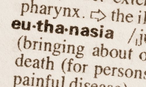 U Francuskoj počinje rasprava o najkontroverznijem pitanju: Treba li dopustiti aktivnu eutanaziju?