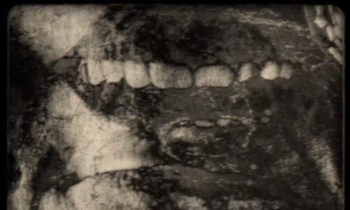 Sutra počinje Interface Video Art Festival, evo što donosi treće izdanje festivala inovativnih filmskih formi