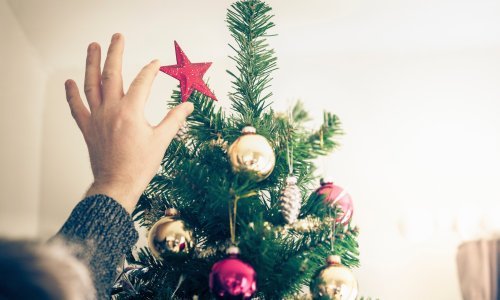 Sezona kićenja krenula ranije ove godine: Cijena borova i do 30 posto skuplja, jedna je vrsta posebno tražena