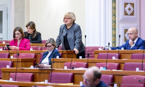 Mrak Taritaš o reformi zdravstva: 'Tresla se brda, rodilo se niš''