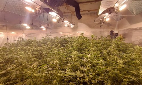 Kod mladića u Rijeci policija pronašla gomilu droge, pogledajte što su mu sve zaplijenili