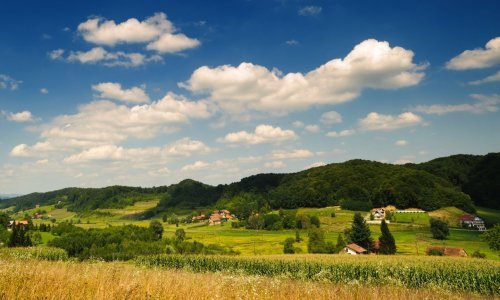 Livade pojeftnile, oranicama blago porasla cijena