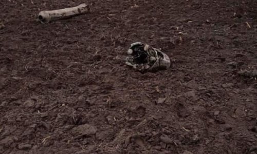 Minsk: Malo vjerojatno da je ukrajinski projektil slučajno ušao u zračni prostor