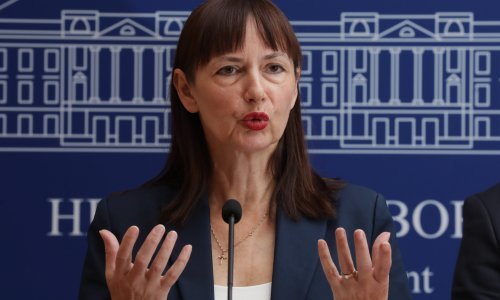 Vučemilović najavila tematsku sjednicu saborskog Odbora o 'kupnji' djece iz trećih zemalja