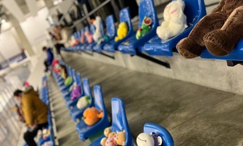 [VIDEO] Hokejaši iz Siska prikupili više od 1200 plišanaca za Opću bolnicu