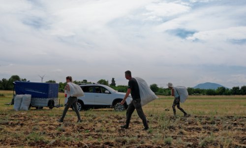 Zbog smilja, magaraca i kozmetike: Druga epizoda 'Duluma zemlje' donosi priču o preseljenju supružnika iz Rima u dalmatinsko selo