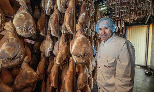 Dok pola Dalmacije čeka spasonosnu buru, zavirili smo u dugopoljsko carstvo elitne suhomesnate delicije i otkrili tajnu svih tajni: Kako spriječiti propadanje pršuta u toploj zimi