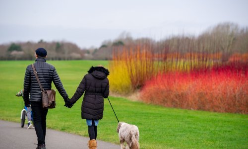 DHMZ: Povremeno kiša, krajem dana na kopnu osjetno zahladnjenje