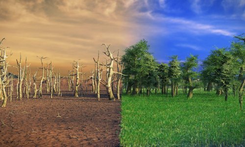 Globalno zagrijavanje, deforestacija i požari mogli bi ubrzati propast Amazonije