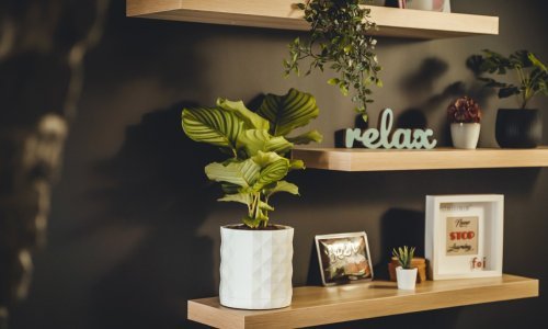 Studenti FOI-ja osmislili Chonchu, pametnu posudu za cvijeće