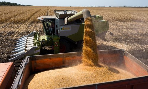 Žitarice i povrće poskupjeli već u proizvodnji: Ovo je usporedba s prošlom godinom