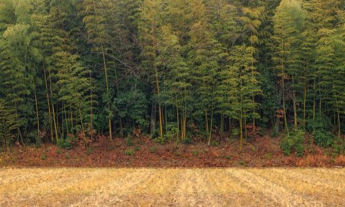 Međunarodni dan bioraznolikosti i Dan zaštite prirode: 'Stanje je alarmantno'
