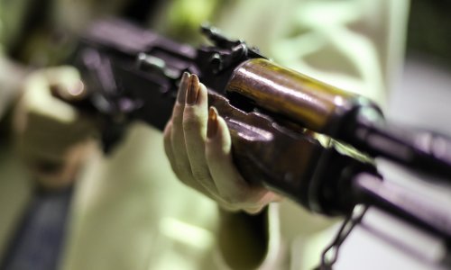 Osječko - baranjska policija objavila koliko je ilegalnog streljiva i bombi otkriveno 2022., od brojki boli glava