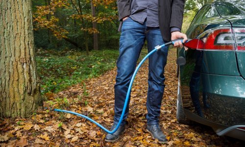 Finci tvrde nešto nevjerojatno: 'Znamo kako od drveća napraviti baterije! Za punjenje će im trebati samo osam minuta'