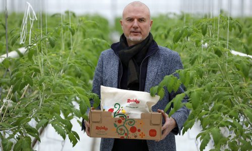 Posjetili smo najvećeg domaćeg proizvođača rajčice: 'Nepalci dođu i odu, struja je poskupjela sedam puta, a ne smijemo staviti solare'