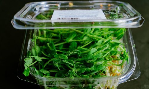 Jestiva je i može se isprati vodom: Znanstvenici razvili revolucionarnu ambalažu za hranu u obliku - spreja