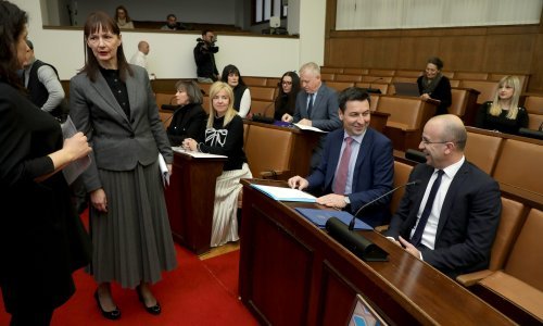 Burna rasprava o posvajanju djece iz Konga: 'HZZO je već isplatio naknadu za jedno dijete. To je dokaz da sustav ne funkcionira'