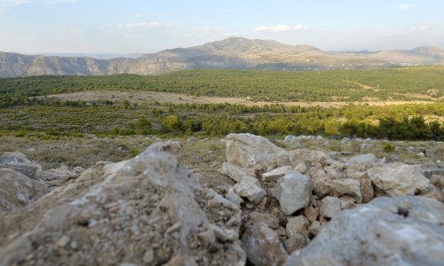 'Maro Kristić i Zelena akcija su znali presudu unaprijed'