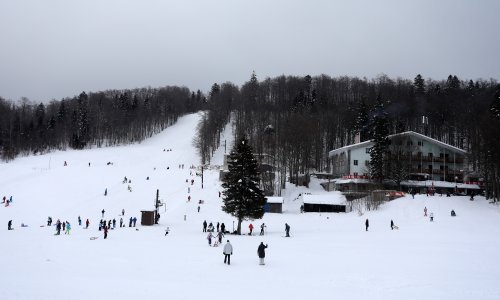 Ženska mreža Hrvatske: Policija se neprimjereno ponijela prema žrtvama