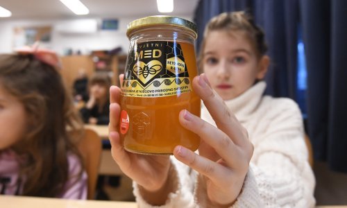 Ljudska mašta nema granica u patvorenju meda, EU priprema nova pravila označavanja
