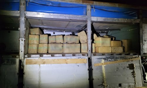 U Francuskoj otkriveno više od 2 tone kanabisa u kamionu sa pšenicom