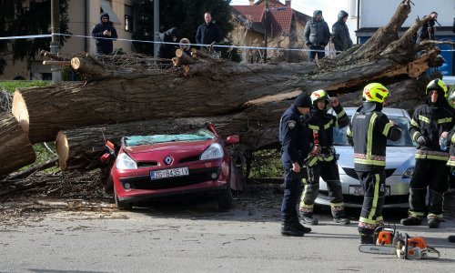 [FOTO/VIDEO] U Osijeku i Zagrebu zbog olujnog vjetra padala stabla i stupovi, oglasio se i Državni meteorološki zavod