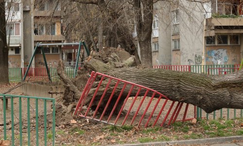 Civilna zaštita zbraja štetu: Olujno nevrijeme poharalo Hrvatsku, vjetar rušio stabla i nosio krovove