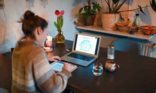 Milijuni ljudi u Njemačkoj nikad nisu pristupili internetu. Evo kako stoji Hrvatska