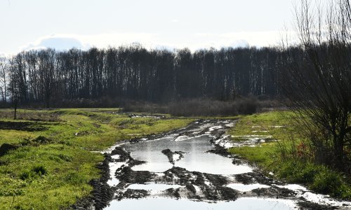 U ilegalnom prelasku granice na Savi otkriveno 16 promrzlih migranata, među njima i djeca