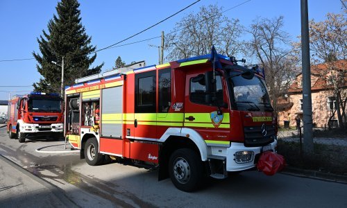 Tridesetak domaćih životinja nastradalo u požaru kod Poreča, zna se kako je došlo do izbijanja vatre