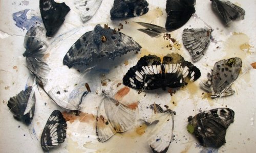 Multimedijalna izložba 'Touch Nature' u Galeriji VN