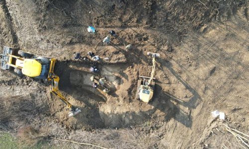 Ekshumacija kod Vukovara; pronađeni posmrtni ostaci, vjerojatno iz Domovinskog rata