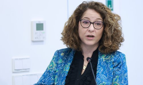 Pučka pravobraniteljica i Autonomna ženska kuća Zagreb podržale Ljubičić u slučaju Zambija