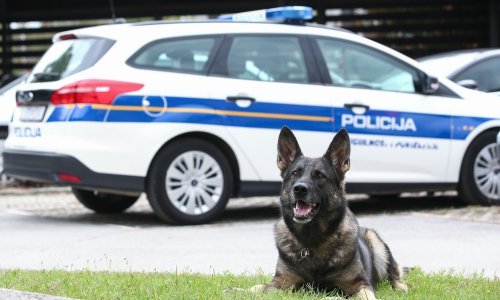 Mladić u Hrvatsku pokušao unijeti 11 kilograma heroina, razotkrio ga policijski pas
