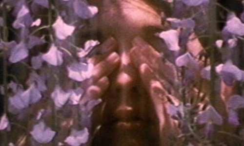 Film XX: Barbara Hammer - ciklus filmova rodočelnice lezbijskog filma uz predavanje Elene Gorfinkel