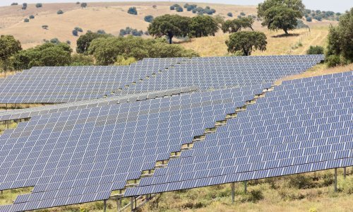 Najavljena izgradnja prve agrosolarne elektrane u Hrvatskoj