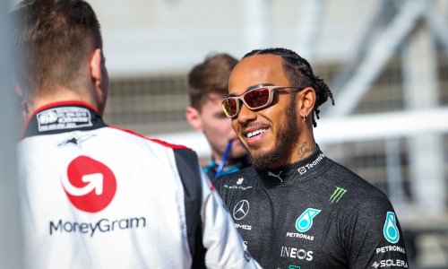 Lewis Hamilton se punih šest godina sukobljavao sa susjedima zbog dva divovska stabla