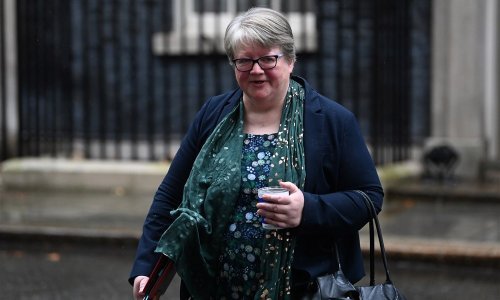 Britanska ministrica: Jedite repu u nedostatku voća i povrća