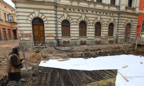 U karlovačkoj Zvijezdi otkrivena drvena cesta, vrijedan arheološki nalaz