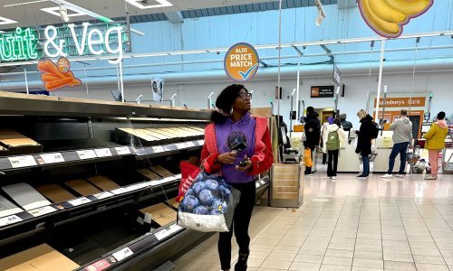 Lidl i Aldi uveli ograničenja u prodaji povrća zbog velikih nestašica, a problemima se ne nazire kraj