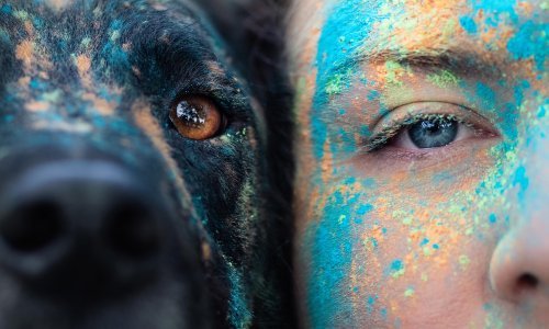 Jedinstveni odnos čovjeka i psa: Izložba fotografija Gordane Popović 'Tebi, prijatelju'