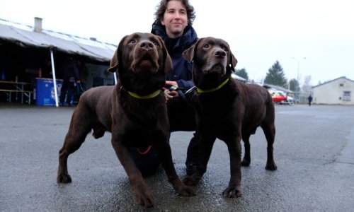 [FOTO] Obilježen Dan civilne zaštite: Sve su oduševili psi koju su nedavno tragali za preživjelima u Turskoj