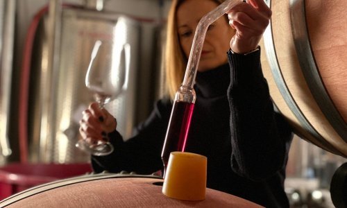 Upoznajmo žene vinarke Hrvatske