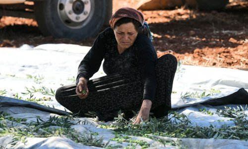 Upozorenje iz Barcelone: Rast razine mora mogao bi uništiti poljoprivredu na Mediteranu