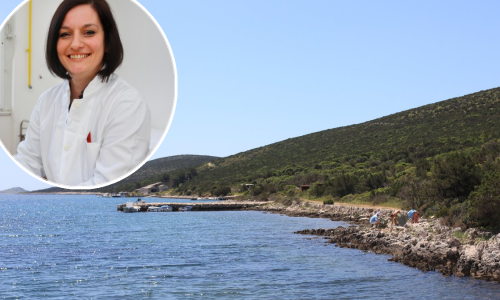 Epidemiologinja pojašnjava: Što je Q groznica i koji su simptomi bolesti što je buknula kod divljih koza na Unijama