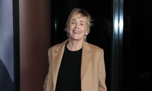 Sharon Stone iskreno progovorila o prvom oskarovskom izdanju - kombinezonu od poliestera