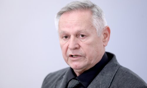 Davorko Vidović: Milanović bi bio najbolji kandidat HDZ-a