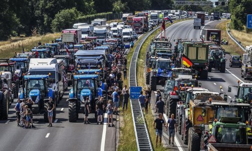Nakon niza prosvjeda marginalna nizozemska 'Stranka farmera' pomela konkurenciju na izborima za Senat