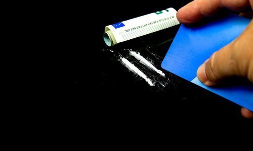Proizvodnja kokaina samo u godinu dana porasla za nevjerojatnih 35 posto! Nova meka je - Afrika