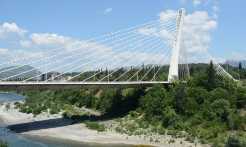 Švedski parlamentarac spasio bebu u Podgorici